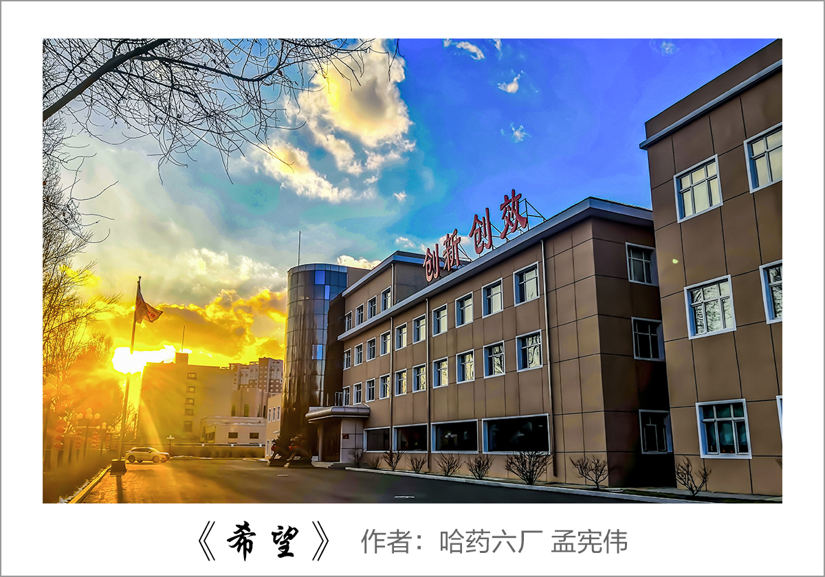 【迎国庆 展风采】我眼中的哈药&mdash;&mdash;职工摄影大赛作品展示！